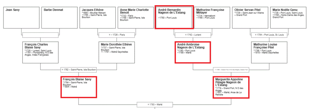 Arbre généalogique de Nageon de L'Estang dit Le Butin le reliant à la famille Savy qui est à l'origine de la "découverte" du cryptogramme