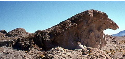 Vague de lave en forme de tête de cheval